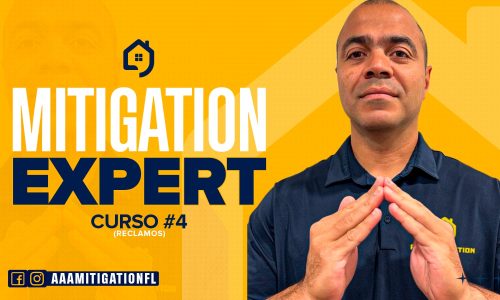 Mitigation Expert – Curso 4