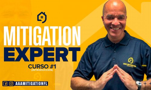 Expert Mitigation – Curso 1
